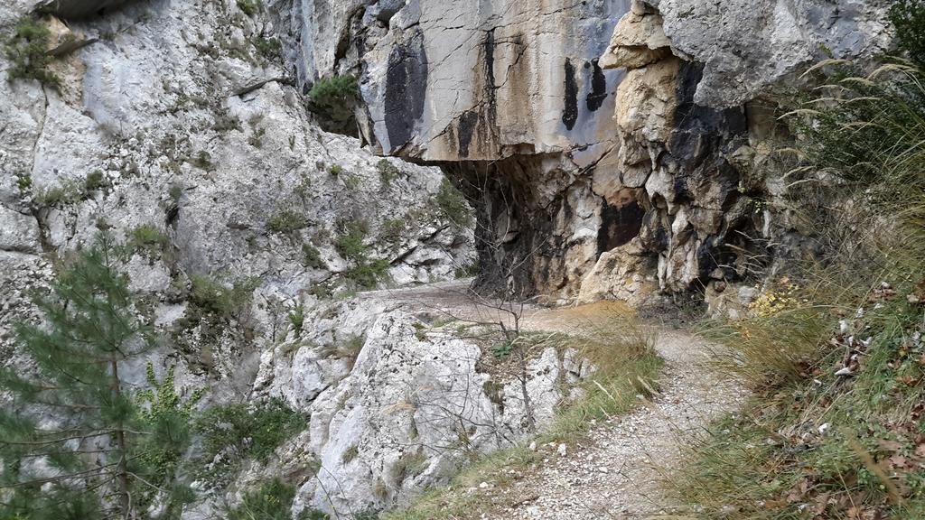 Les Cigales D'Estoublon Leilighet Rom bilde
