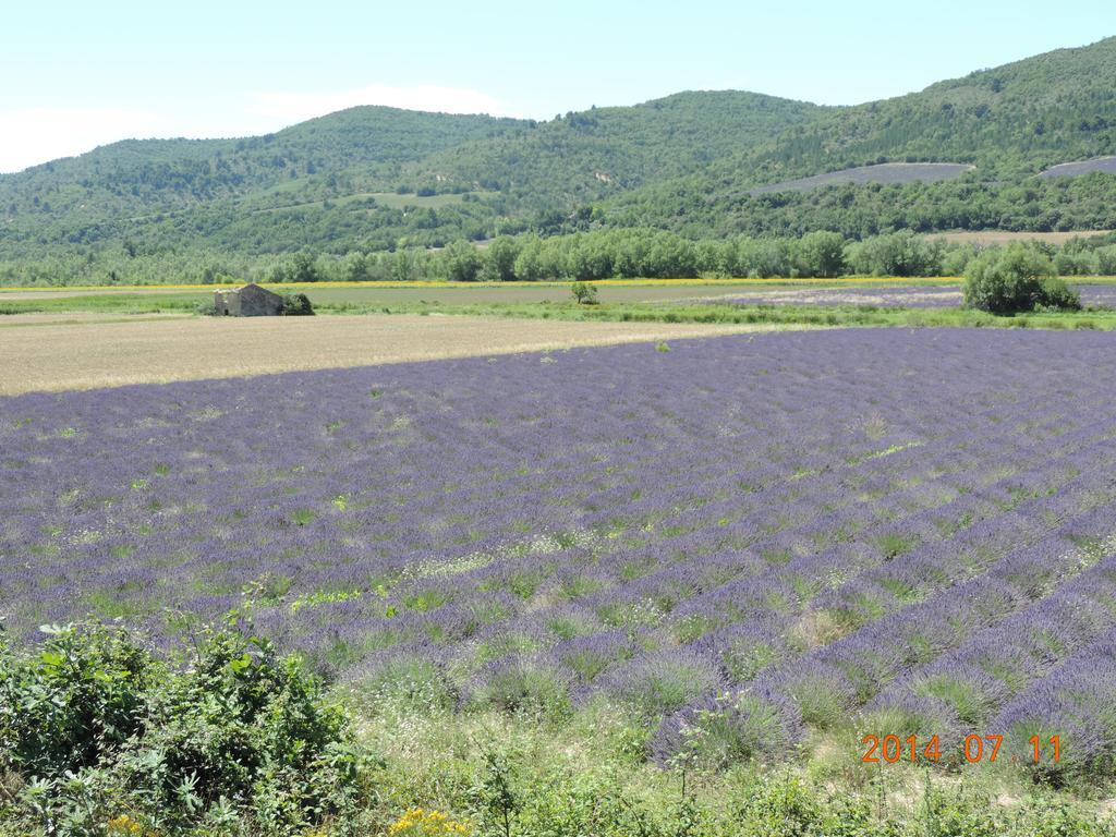 Les Cigales D'Estoublon Leilighet Rom bilde